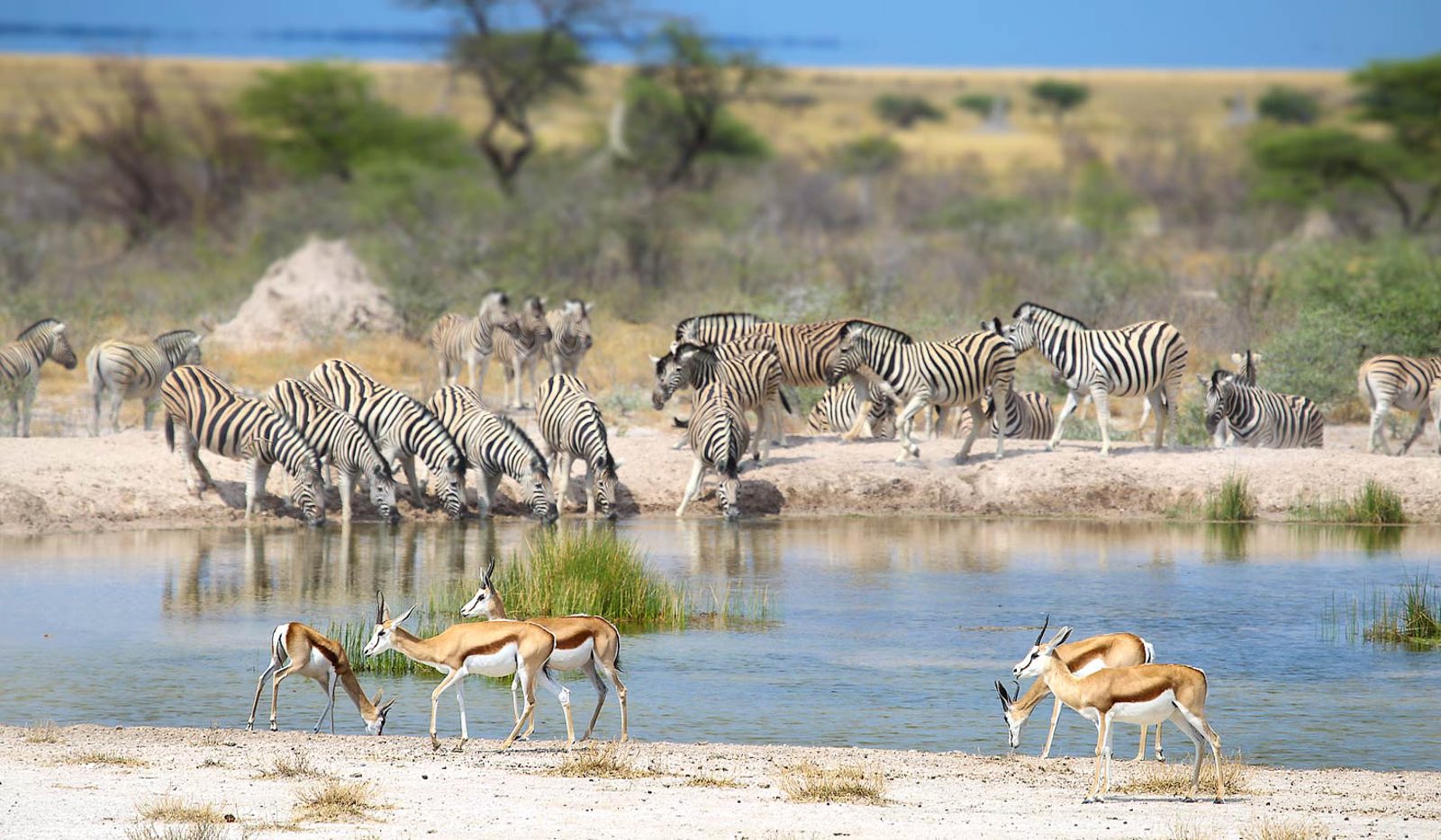 Namibian Highlights